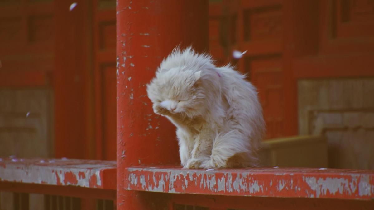 На півдні та у центральній частині України очікуються шквали / фото Pixabay На півдні та у центральній частині України очікуються шквали / фото Pixabay