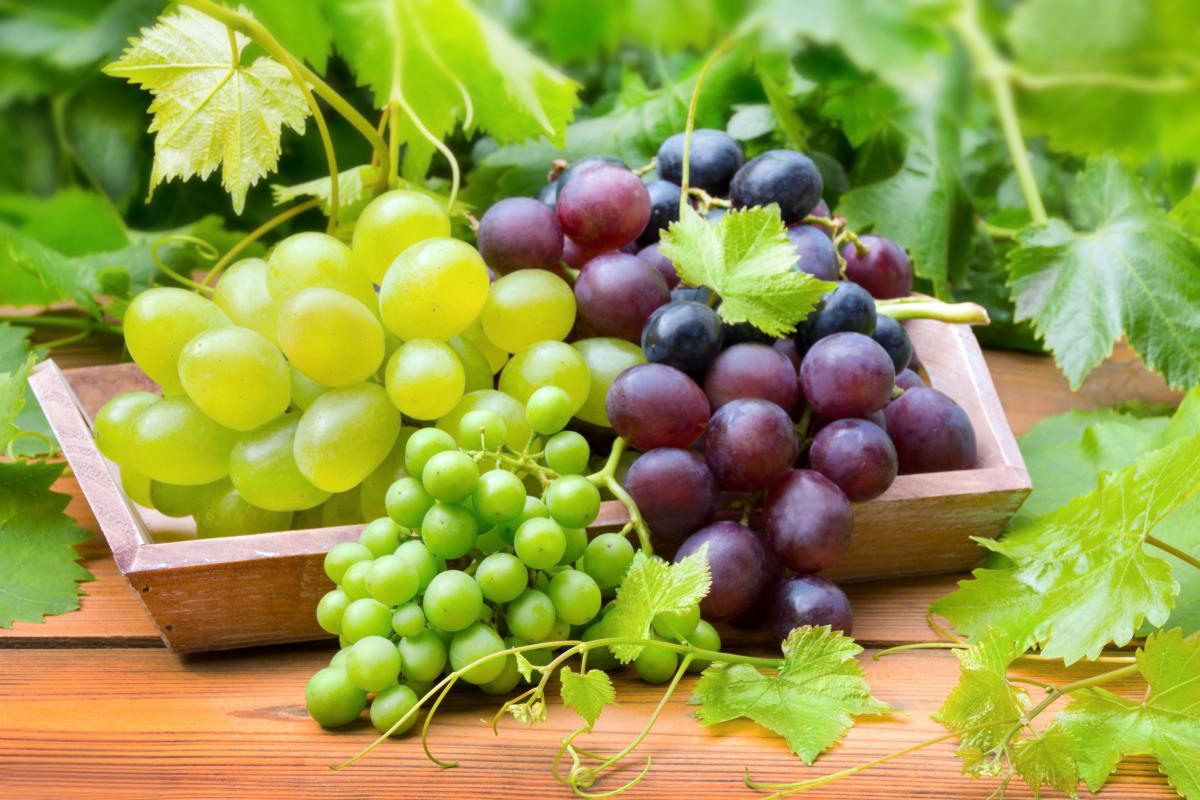 Чем полезен и чем вреден виноград для человека / depositphotos.com