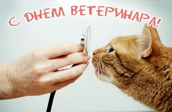 Поздравление ветеринарному врачу / klike.net Поздравление ветеринарному врачу / klike.net