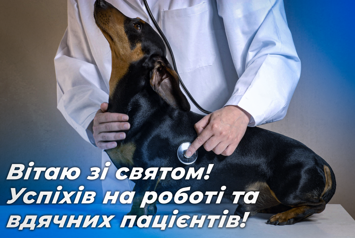 День ветеринара 2022 - листівки / depositphotos.com