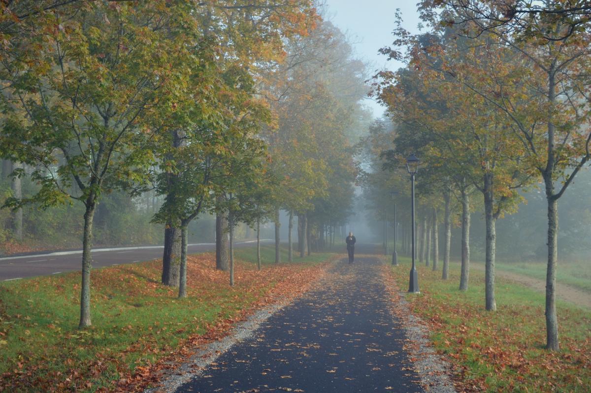 Погода на выходные / фото Pixabay Погода на выходные / фото Pixabay