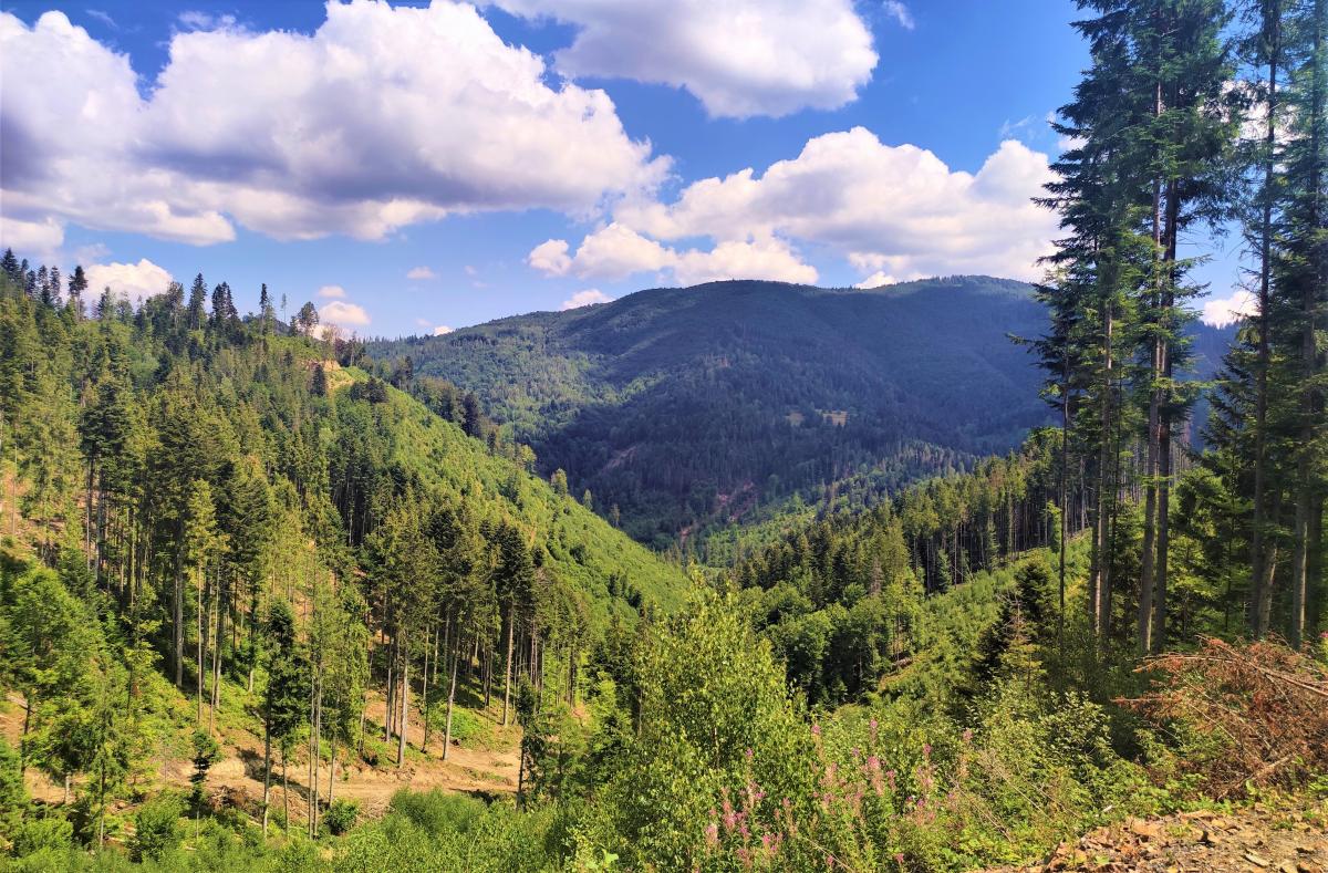 Краєвиди з Погару / фото Марина Григоренко Краєвиди з Погару / фото Марина Григоренко