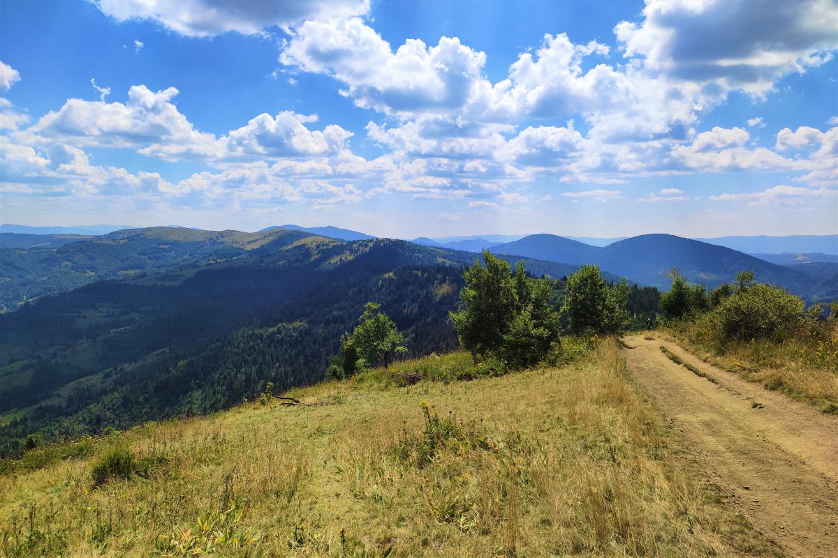 Тест-улюблене місце для відпочинку / фото Марина Григоренко Тест-улюблене місце для відпочинку / фото Марина Григоренко