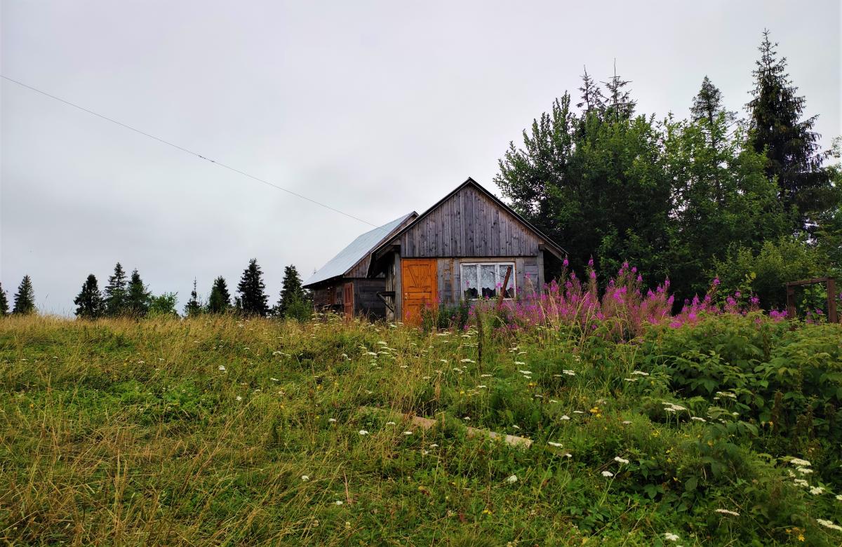 На Ільзі влітку майже немає людей / фото Марина Григоренко