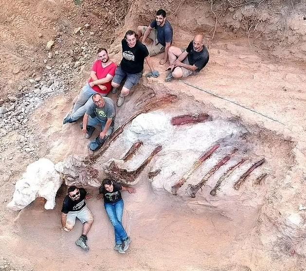 В Португалии нашли останки гигантского динозавра - крупнейшего в Европе зауропода (фото) В Португалии нашли останки гигантского динозавра - крупнейшего в Европе зауропода (фото)