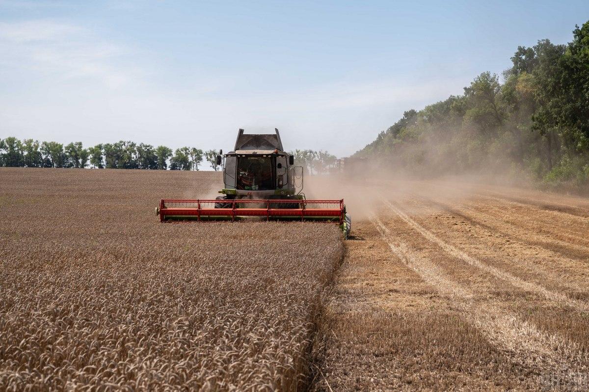 Понад 60% української агропродукції експортується до країн Африки та Азії / фото УНІАН