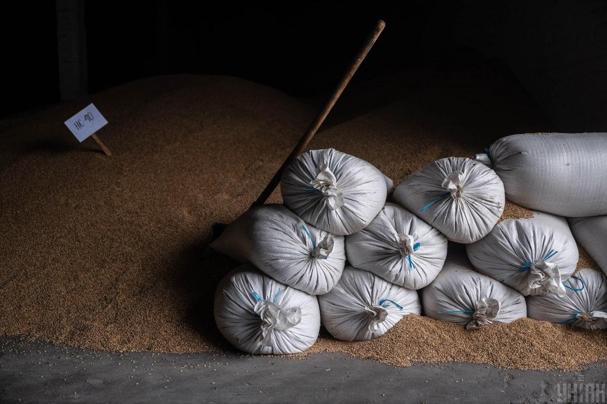 За 16 днів жовтня з України вивезено 3,6 млн тонн зернових / фото УНІАН За 16 днів жовтня з України вивезено 3,6 млн тонн зернових / фото УНІАН