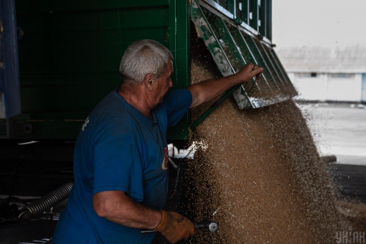 Украина не использовала и не собиралась использовать зерновой коридор в военных целях / фото УНИАН Украина не использовала и не собиралась использовать зерновой коридор в военных целях / фото УНИАН