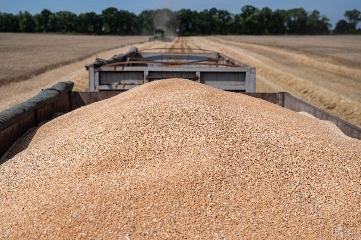 Russian ships export stolen Ukrainian grain to other countries /  photo