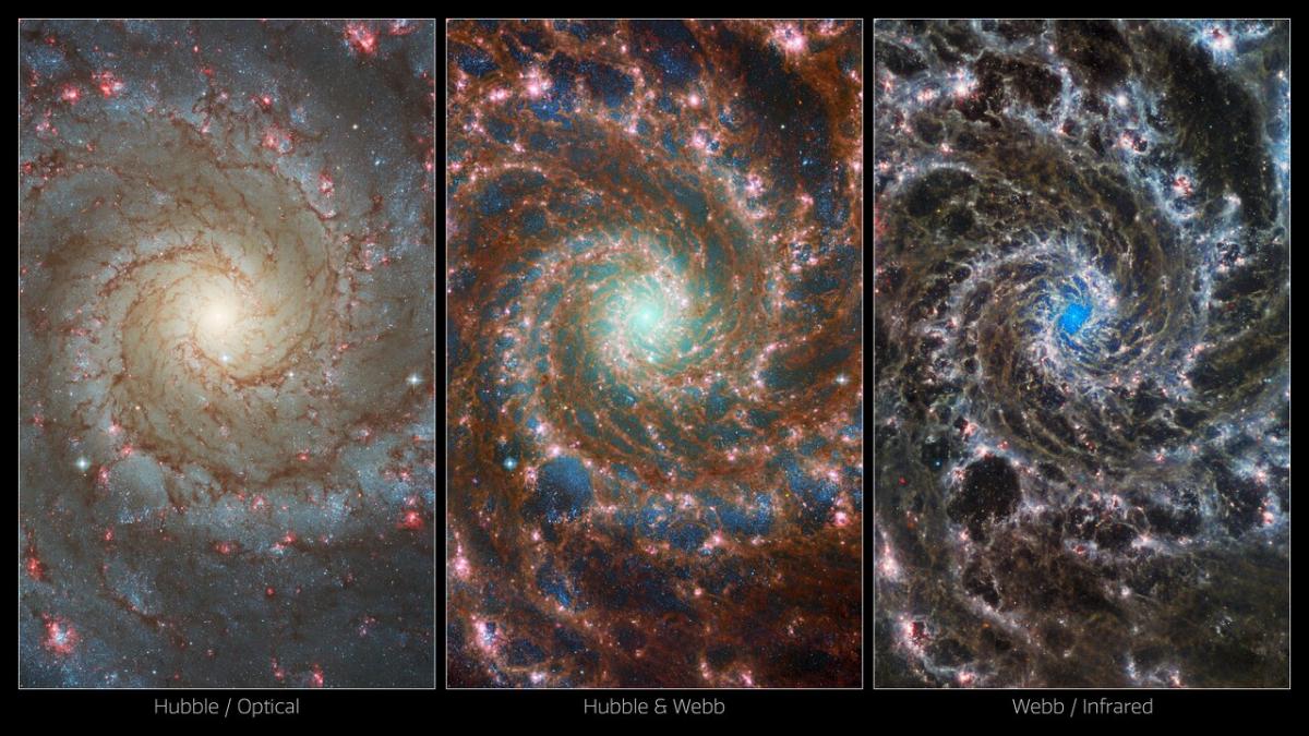 Галактика-призрак M74 / фото ESA/Webb, NASA & CSA, J. Lee and the PHANGS-JWST Team; ESA/Hubble & NASA, R. Chandar Галактика-призрак M74 / фото ESA/Webb, NASA & CSA, J. Lee and the PHANGS-JWST Team; ESA/Hubble & NASA, R. Chandar