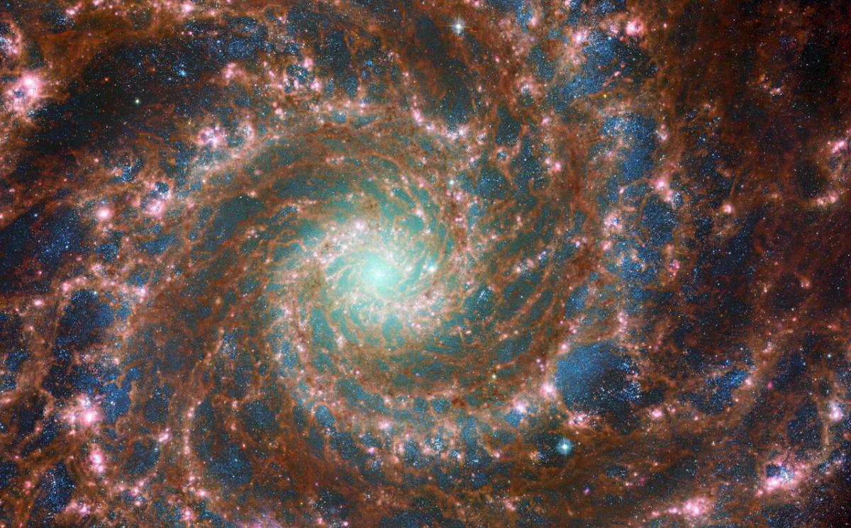 Снимок галактики с помощью двух телескопов / фото ESA/Webb, NASA & CSA, J. Lee and the PHANGS-JWST Team; ESA/Hubble & NASA, R. Chandar