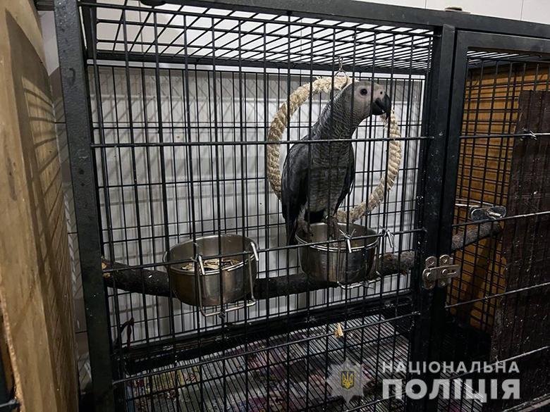 Животные содержались в неволе в ненадлежащих условиях / фото полиция Киева