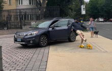 В Вашингтоне сотрудник посольства РФ растоптал подсолнухи, которые принесли дети (фото)