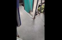 "А як же денацифікація, діду?": в РФ битою прогнали "героя спецоперації" без кінцівок (відео)