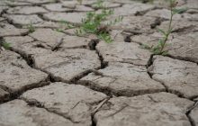 Европу охватила засуха: воды катастрофически не хватает