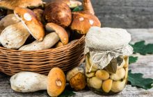 Какие грибы можно мариновать на зиму: 3 восхитительных рецепта