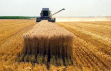 Вуглецеве землеробство додасть 10% до урожайності