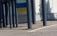 В Херсоне активисты показали оккупантам, что им там до сих пор не рады (фоторепортаж)