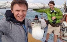 Дмитро Комаров розповість про найекстремальніші гастрономічні традиції світу