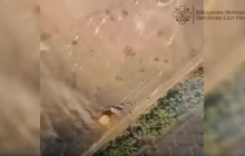 Українські морпіхи потужно вгатили по скупченню окупантів на Херсонщині (відео)