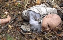 Под Киевом оккупанты расстреляли машину с семьей: пуля попала 5-летнему ребенку в голову