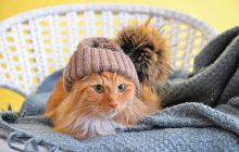 В Украине запретили повышение тарифов на коммуналку: Зеленский подписал мораторий