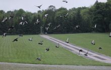 На Марсовому полі у Львові створять Меморіал Героїв України замість останків червоноармійців