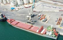 Експорт українського зерна: у ЄС повідомили, скільки кораблів прибули у місця призначення