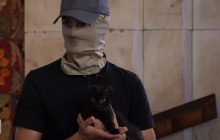 Врятувати рядового Змія: як зараз живе кіт, який пережив окупацію Зміїного