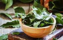 Привернете кохання, здоров'я та гроші: просто покладіть лавровий лист під подушку