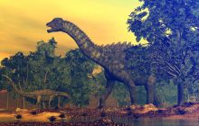 У Португалії знайшли рештки гігантського динозавра - найбільшого в Європі зауропода (фото)