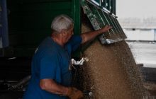 Україна не брала жодних нових зобов'язань, які б виходили за рамки "зернової угоди" – МЗС