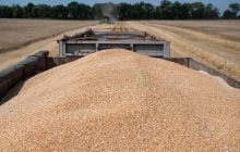 Литва начала снова покупать российское зерно, – СМИ