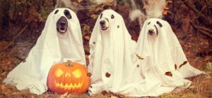 Праздник "нечисти": что можно и что нельзя делать на Хэллоуин 2024