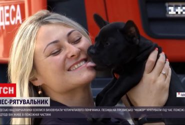 Одеська ДСНС врятувала цуценя і залишила його у себе