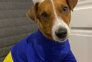 Рішучіший, ніж Макрон: група Karta Svitu випустила хіт про Патрона