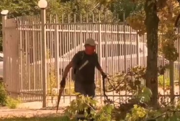 У Маріуполі пустили під ніж парки, щоб заготовити дрова на зиму