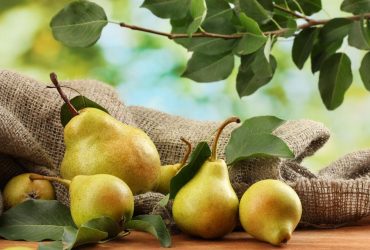 Здорова шкіра і міцні судини: 5 корисних властивостей груші