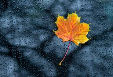 Кліматолог дала несподіваний прогноз на осінь: якої погоди чекати українцям