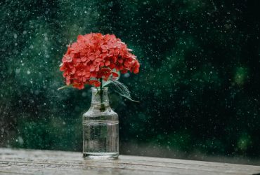 21 липня в Києві буде дощ