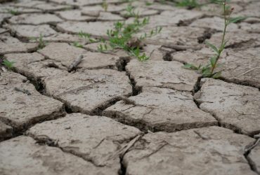 На Земле стремительно пересыхают водоемы с пресной водой: ученые бьют тревогу