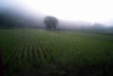 Майже по всій Україні синоптики оголосили I рівень небезпечності (карта)
