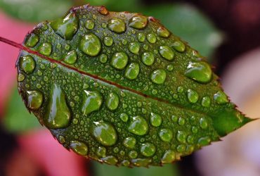 Перед вихідними в Україну увірветься похолодання з дощами та грозами (карта)