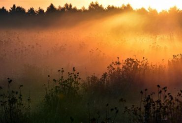 Синоптик Диденко рассказала, какая погода ждет украинцев на Покров