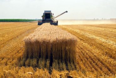 Вуглецеве землеробство додасть 10% до урожайності