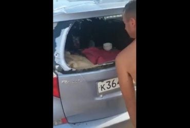 In Crimea, the car of Russian tourists was hit by a shell from a military training ground (video)