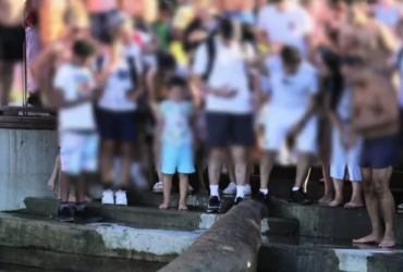 Стала жертвой любопытства туристов: в Норвегии усыпили моржиху Фрейю