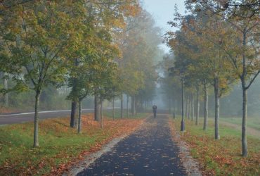 Киевскую область предупредили об опасной погоде: что произошло