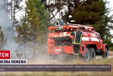 На Миколаївщині невідомі підпалили 250 гектарів лісу