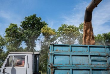 По українське зерно прийде рекордний караван суден
